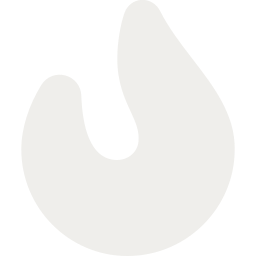 Flame icon